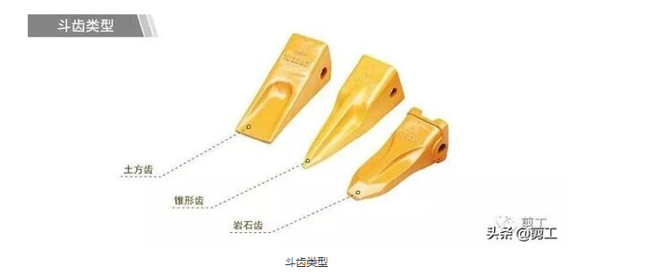 斗齒類型 